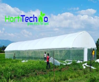 Greenhouse and irrigation company in Kenya